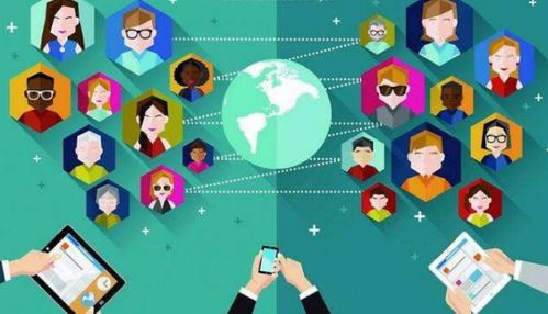 社交软件选择与网络信息安全软件开发指南