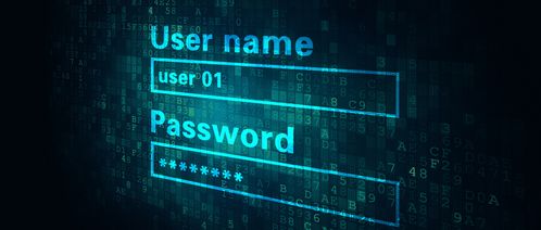 网络安全的新基石 从零信任开始的网络与信息安全软件开发